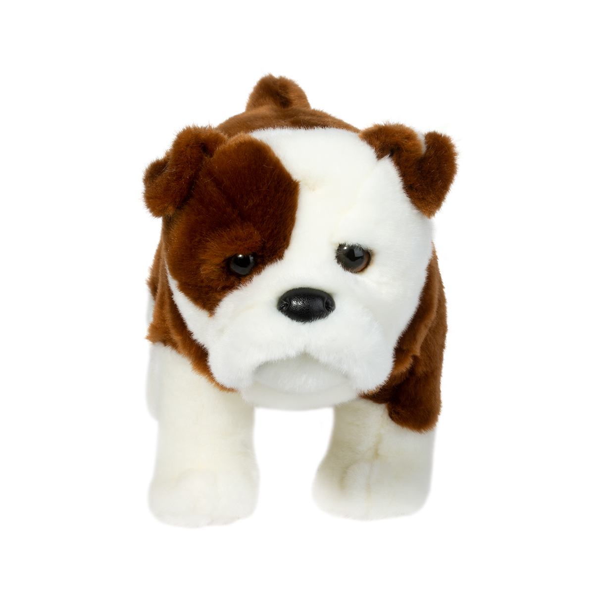 Hardy the Bulldog