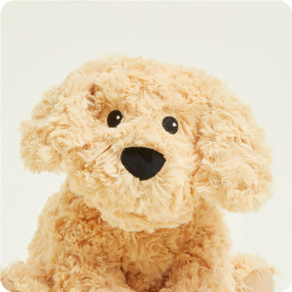 Warmies Golden Curly Dog