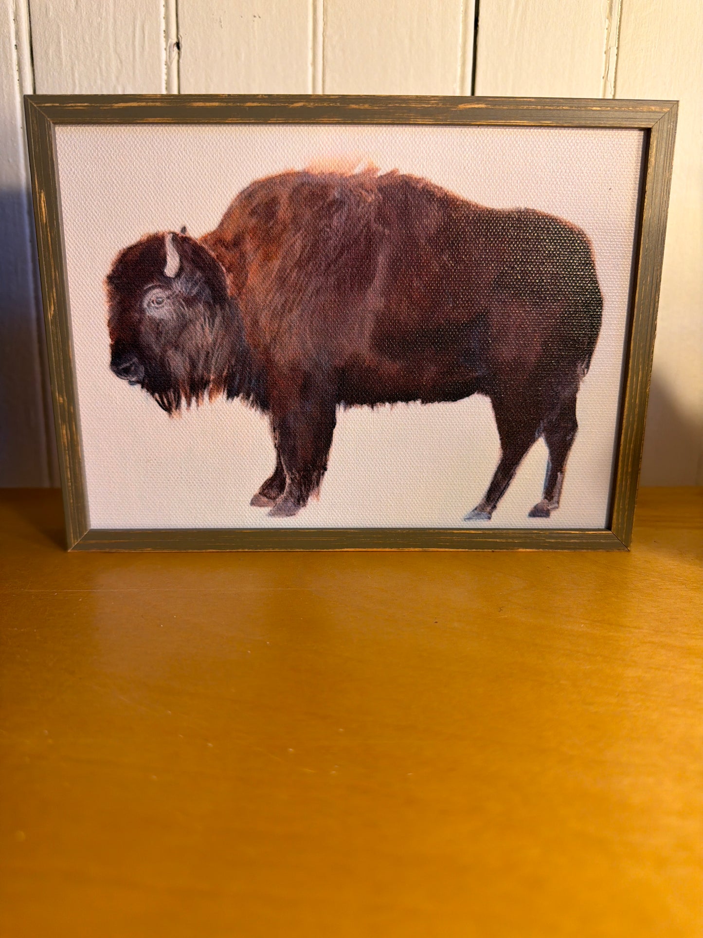 buffalo framed art  5x7