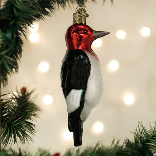 Red Headed Woodpecker Ornament