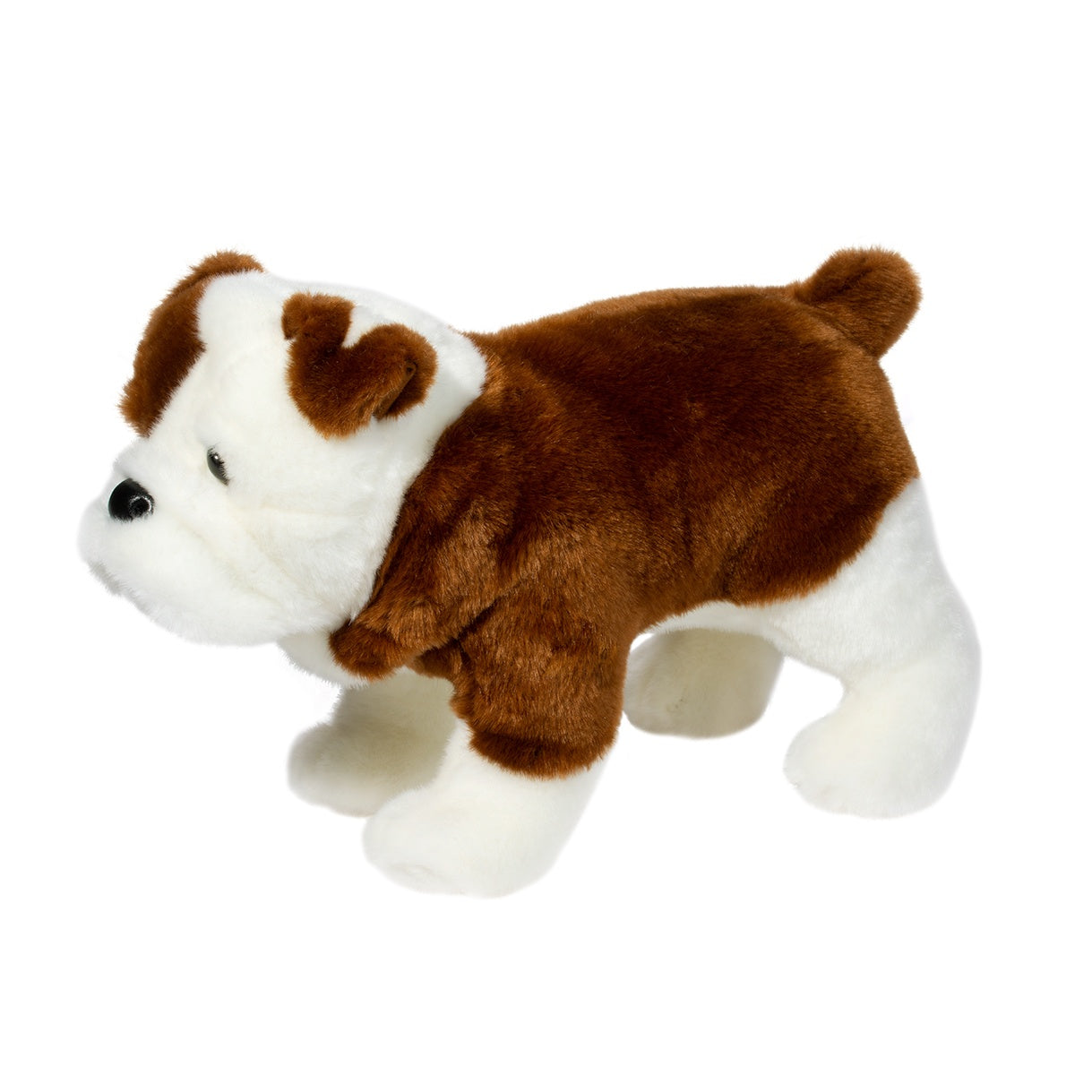 Hardy the Bulldog