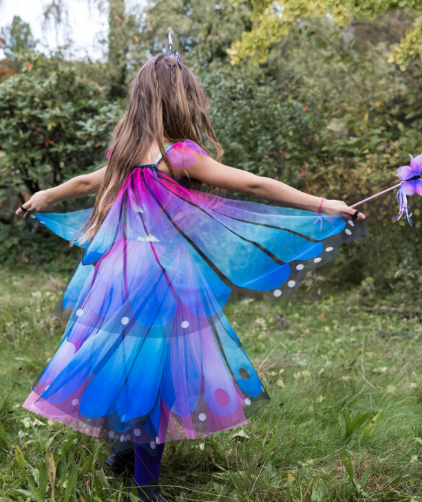 Butterfly Twirl Dress with Wings & headband - blue/purple 5-6